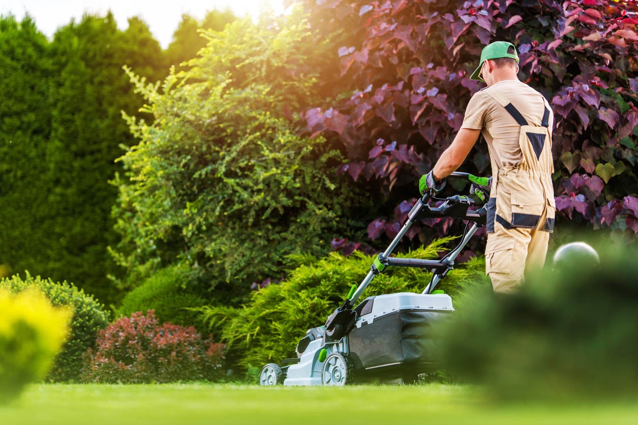 Best Lawn Guy MN